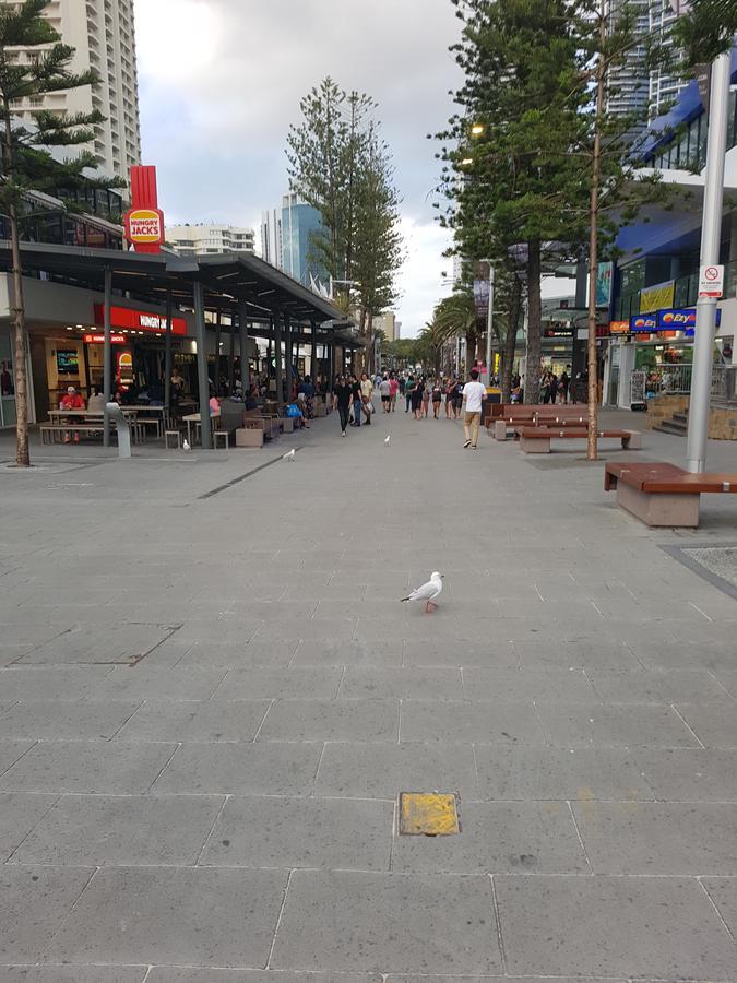 The Sands Surfers Paradise Eksteriør billede
